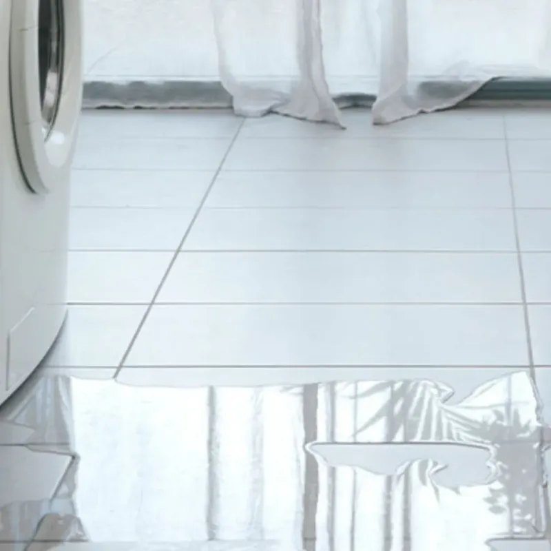 Appliance Leak Cleanup in Inyokern, CA